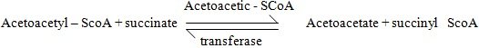 Reaction invloving interchange of acyl groups.